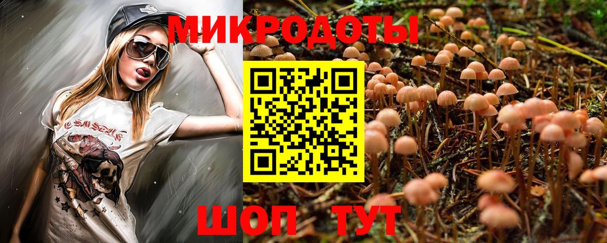 Галлюциногенные грибы Magic Shrooms Алатырь