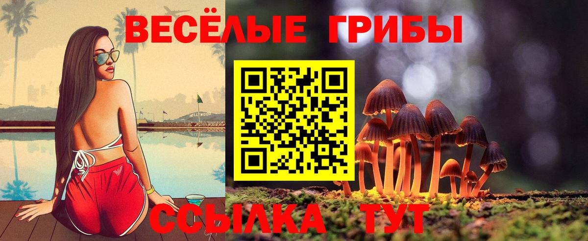 Алатырь  Галлюциногенные грибы Cubensis  Псилоцибиновые грибы MAGIC MUSHROOMS  Вход с VPN 